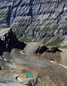 DSCN1229a